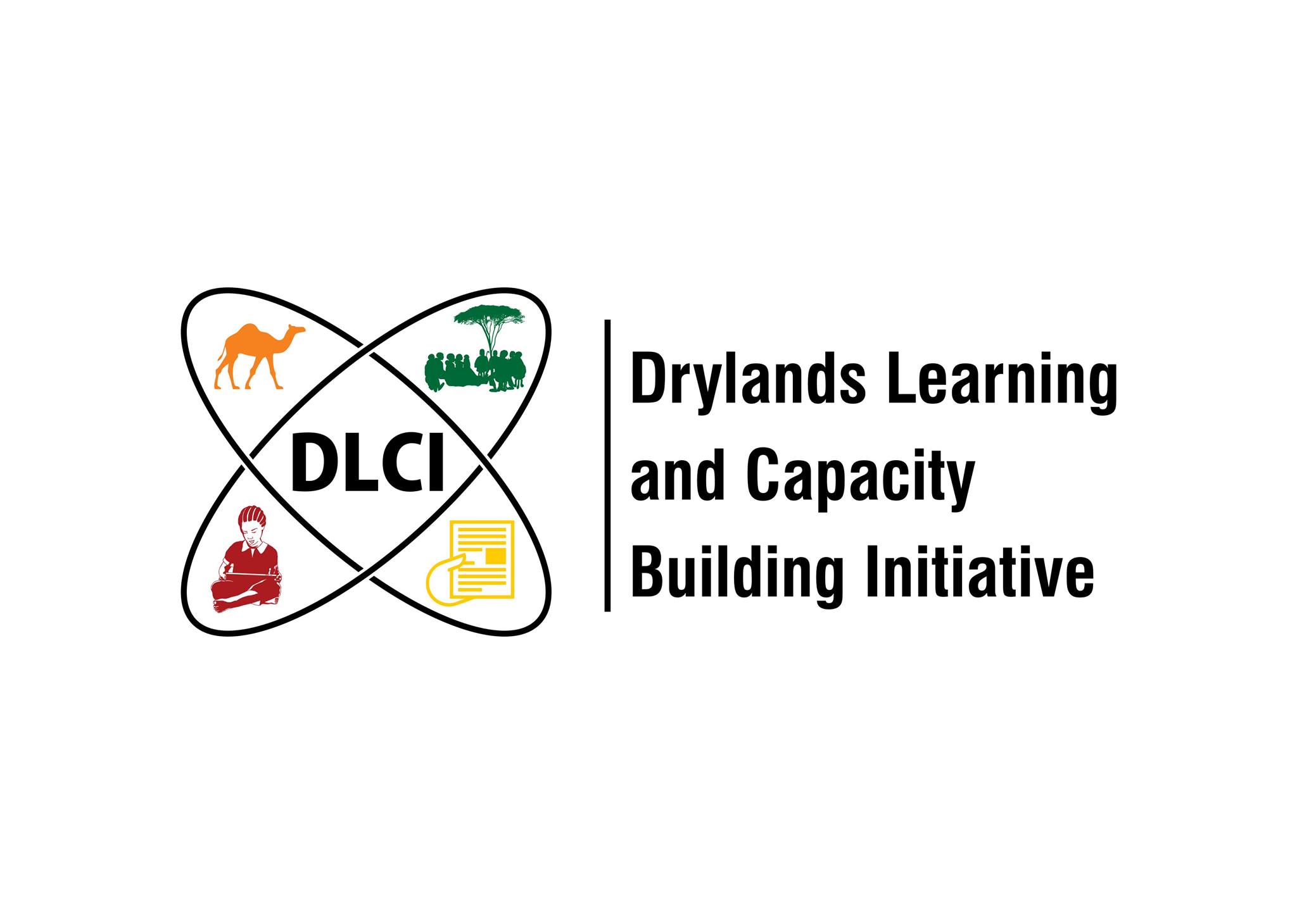 DLCI Logo