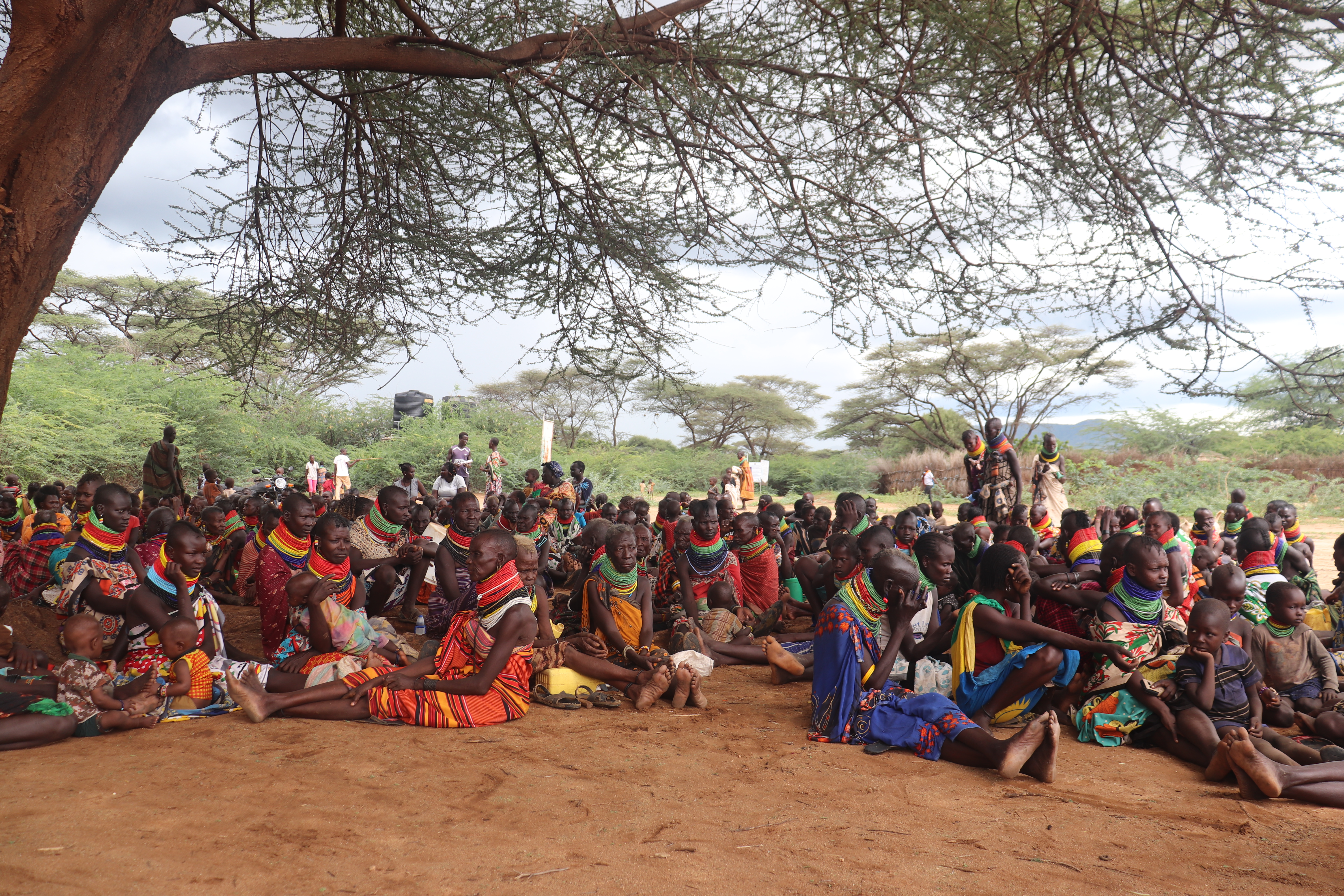 Women's land rights